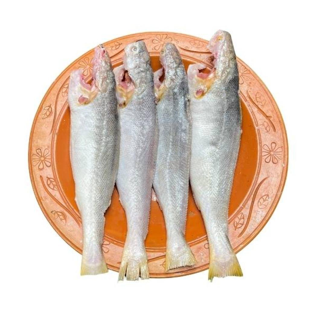 পোয়া মাছ